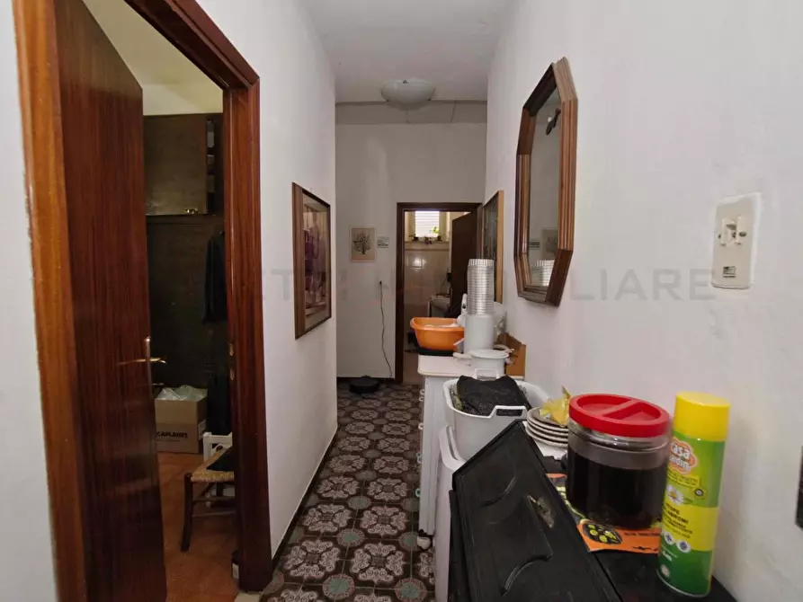 Immagine 57 di Casa colonica in vendita  a Massa Marittima