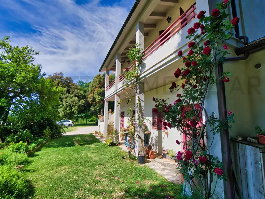 Immagine 10 di Casa colonica in vendita  a Massa Marittima