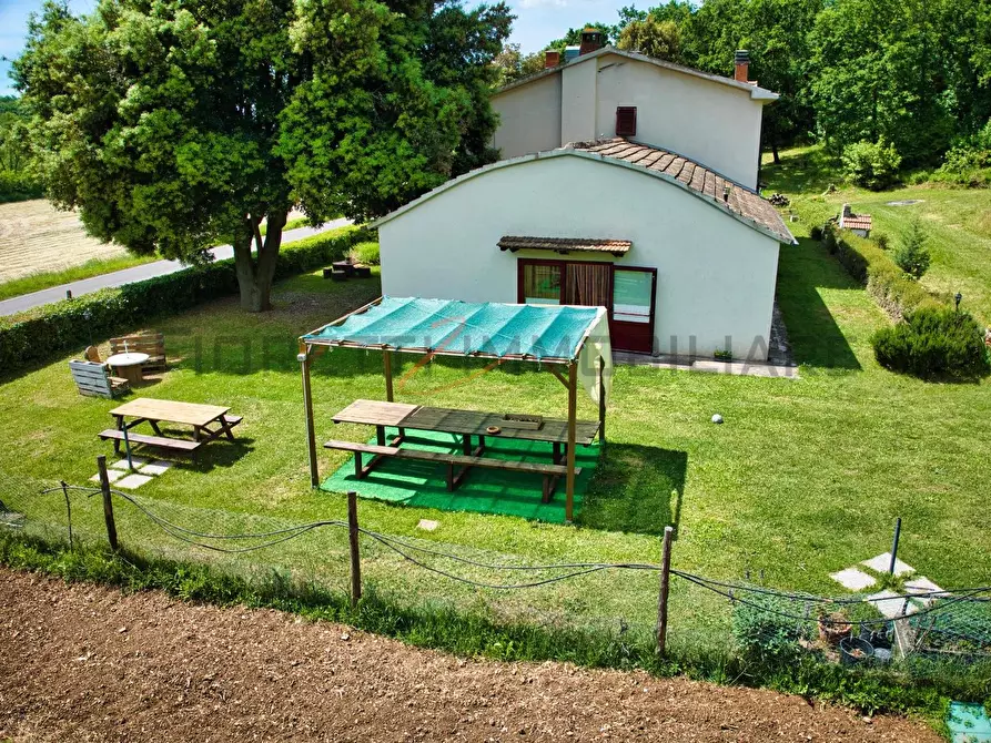 Immagine 69 di Casa colonica in vendita  a Massa Marittima