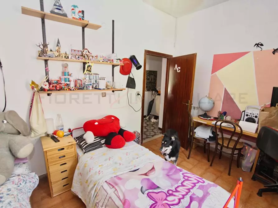 Immagine 67 di Casa colonica in vendita  a Massa Marittima