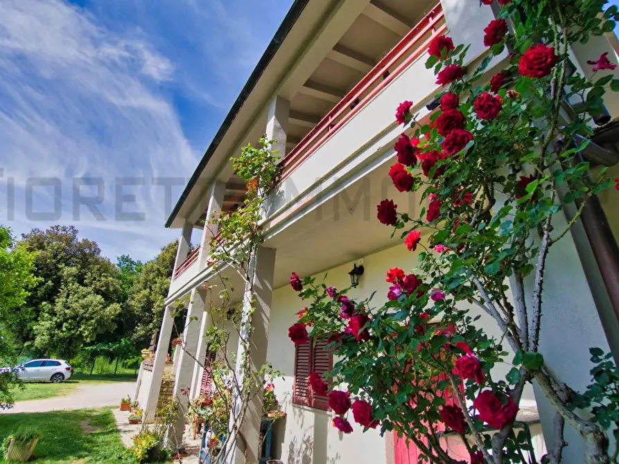 Immagine 46 di Casa colonica in vendita  a Massa Marittima