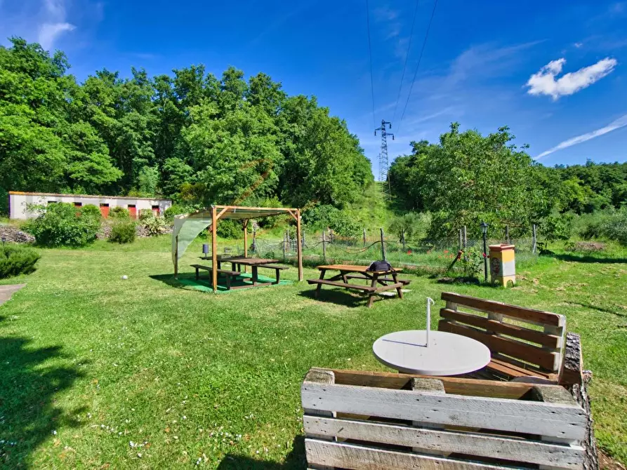 Immagine 8 di Casa colonica in vendita  a Massa Marittima