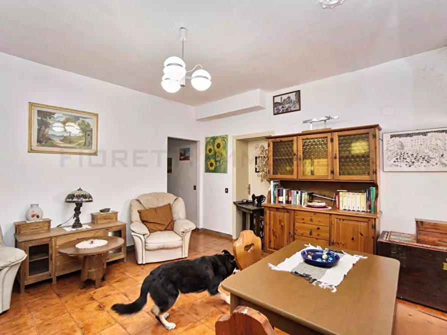 Immagine 42 di Casa colonica in vendita  a Massa Marittima