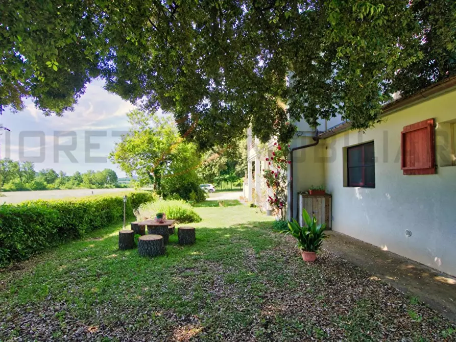 Immagine 9 di Casa colonica in vendita  a Massa Marittima