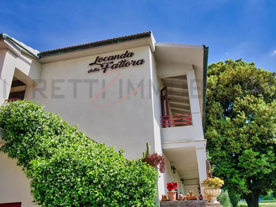 Immagine 44 di Casa colonica in vendita  a Massa Marittima