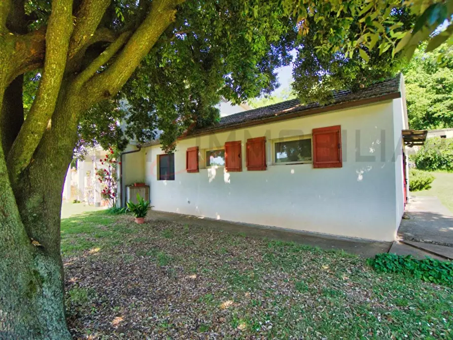 Immagine 7 di Casa colonica in vendita  a Massa Marittima