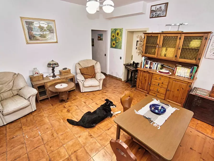 Immagine 43 di Casa colonica in vendita  a Massa Marittima