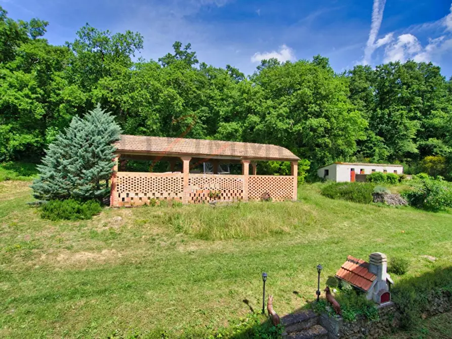 Immagine 51 di Casa colonica in vendita  a Massa Marittima