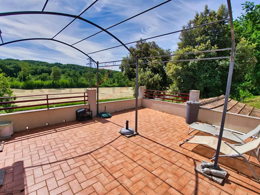 Immagine 53 di Casa colonica in vendita  a Massa Marittima