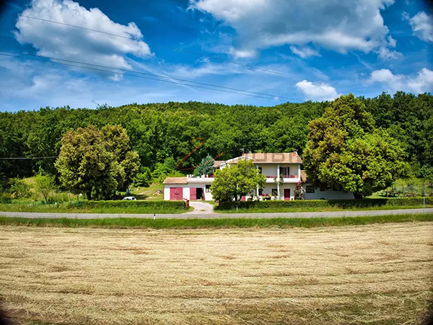 Immagine 5 di Casa colonica in vendita  a Massa Marittima