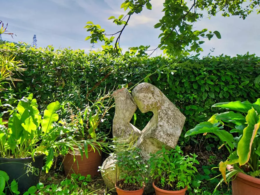 Immagine 48 di Casa colonica in vendita  a Massa Marittima