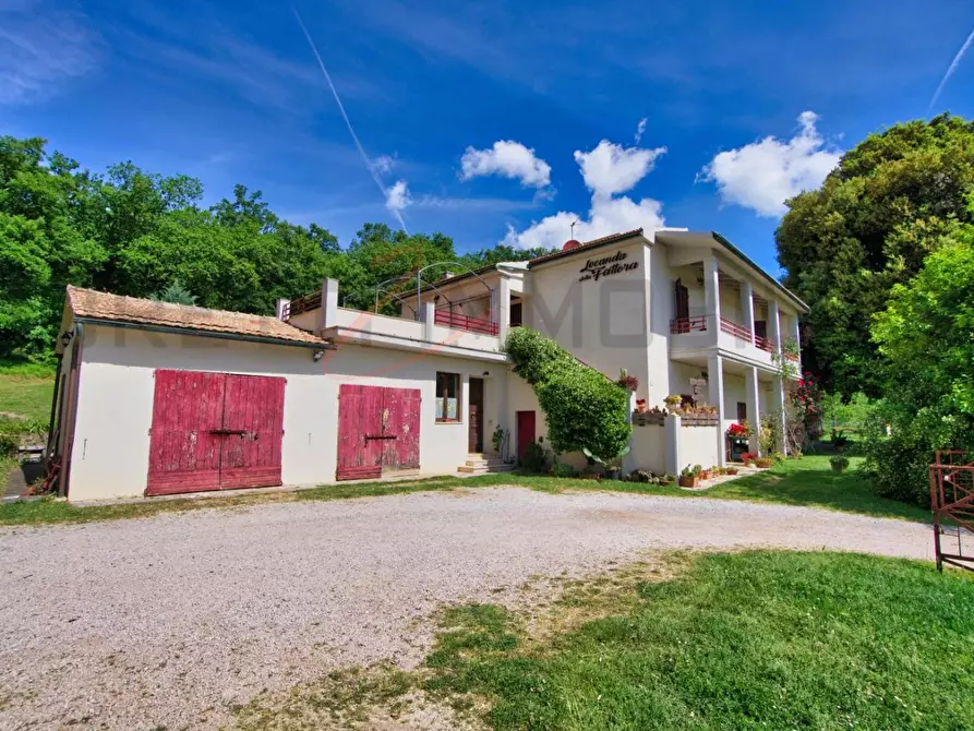 Immagine 49 di Casa colonica in vendita  a Massa Marittima