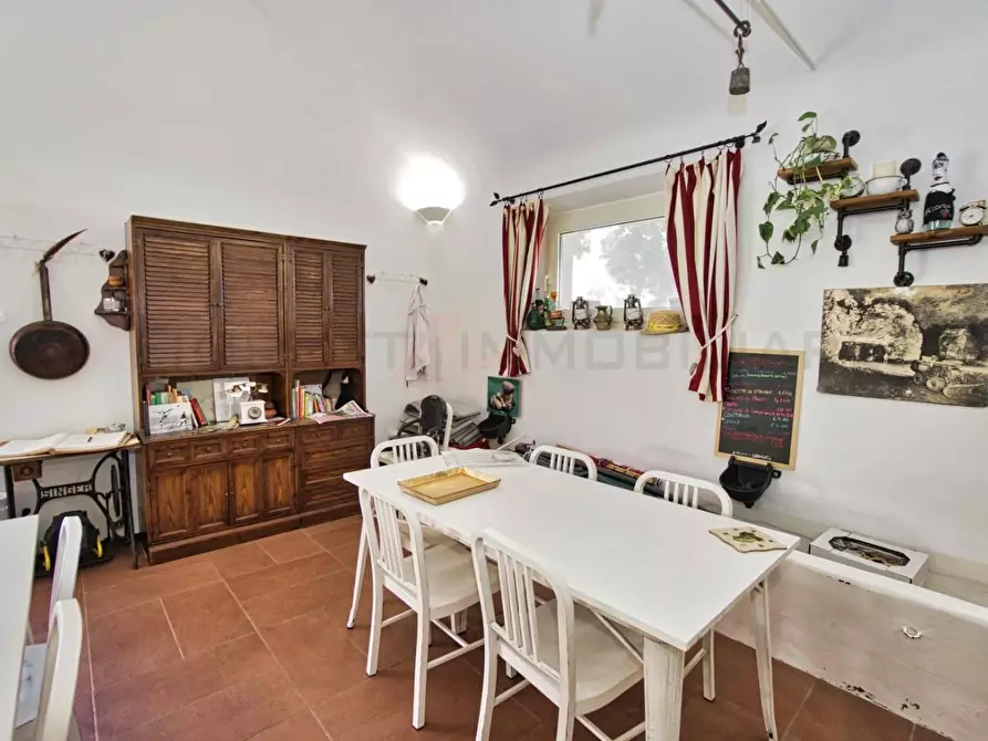 Immagine 14 di Casa colonica in vendita  a Massa Marittima