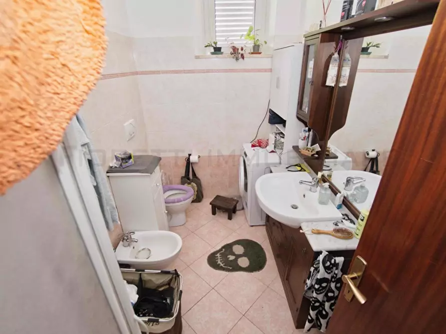 Immagine 63 di Casa colonica in vendita  a Massa Marittima