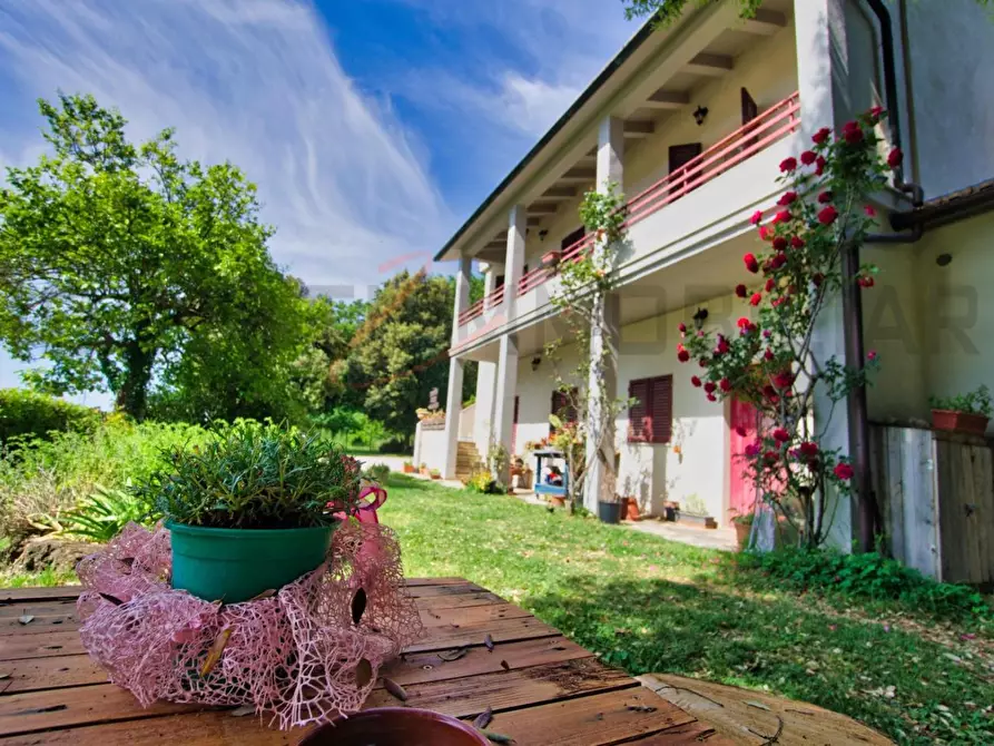 Immagine 47 di Casa colonica in vendita  a Massa Marittima