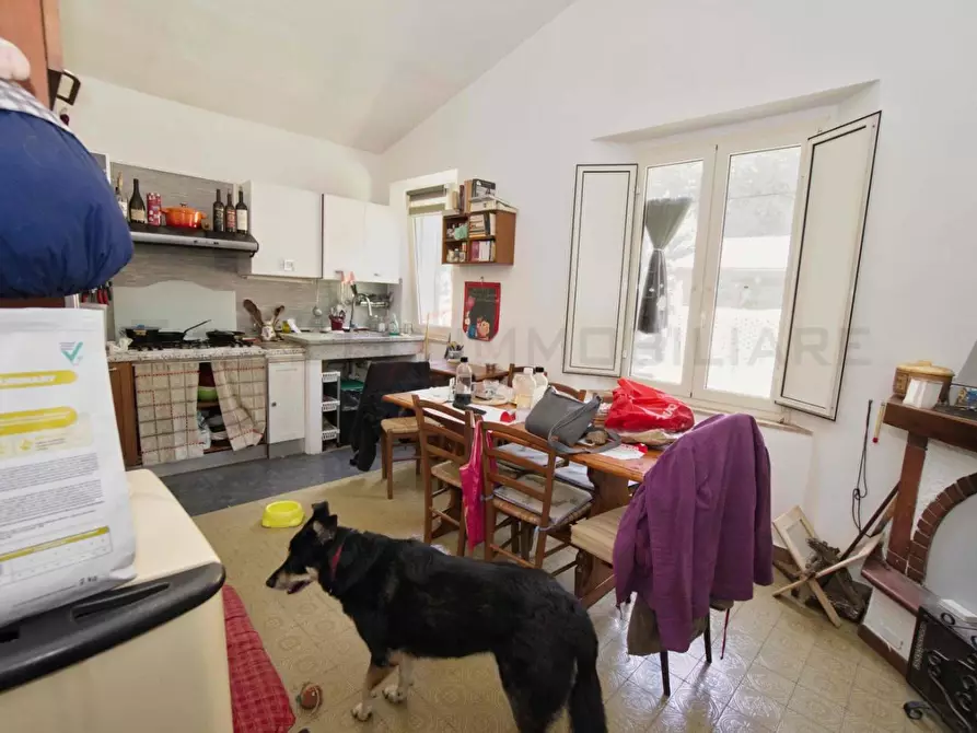 Immagine 54 di Casa colonica in vendita  a Massa Marittima