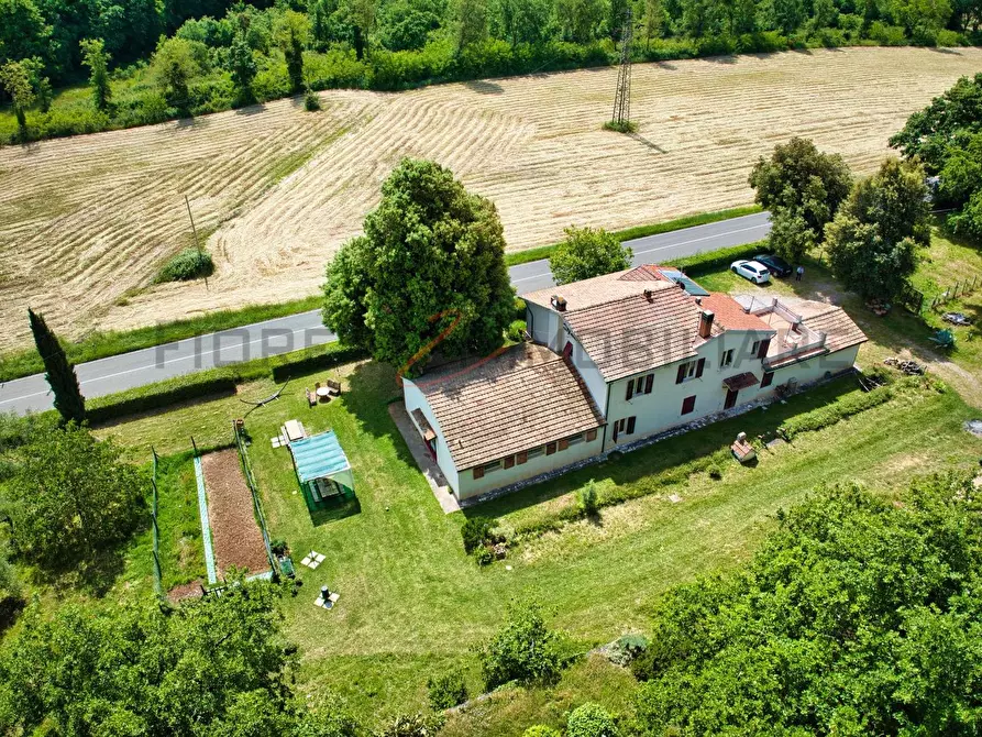 Immagine 2 di Casa colonica in vendita  a Massa Marittima