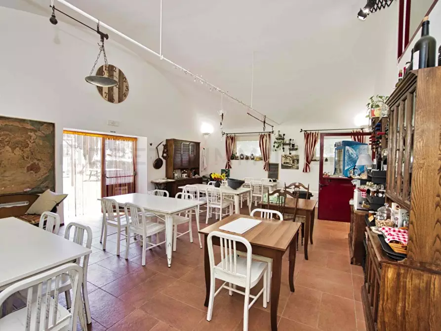 Immagine 20 di Casa colonica in vendita  a Massa Marittima