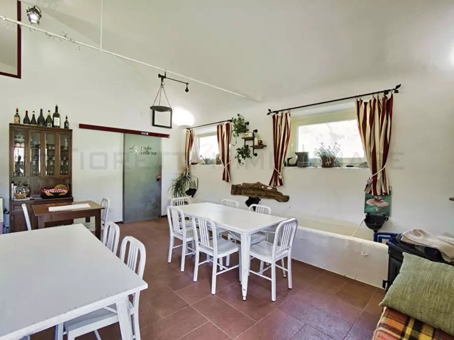 Immagine 11 di Casa colonica in vendita  a Massa Marittima