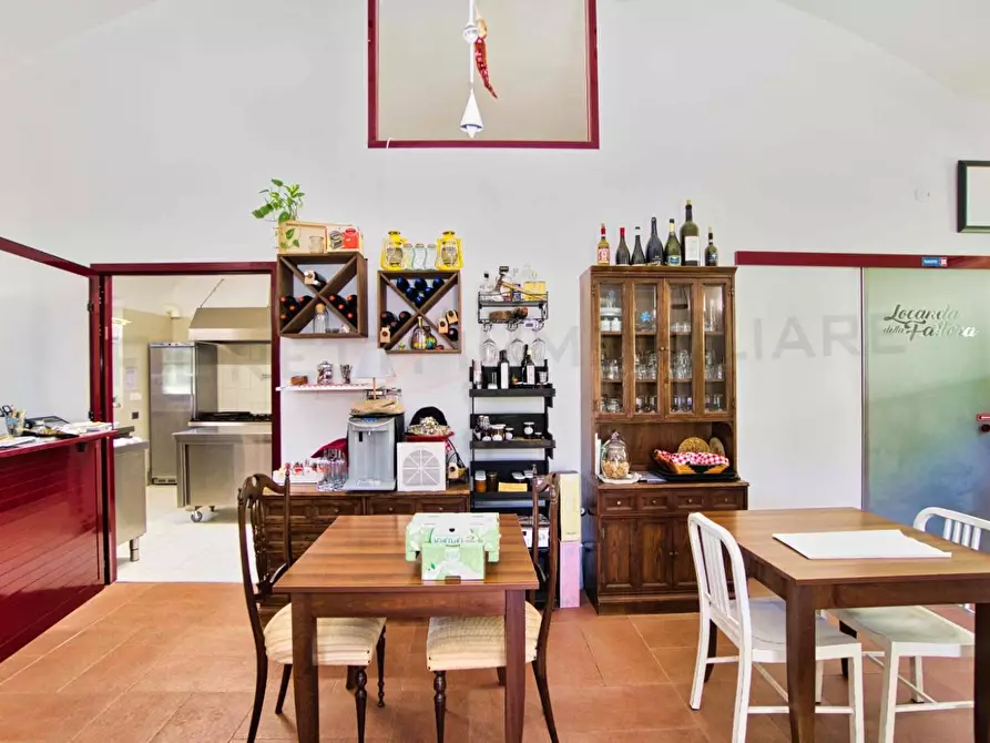 Immagine 13 di Casa colonica in vendita  a Massa Marittima