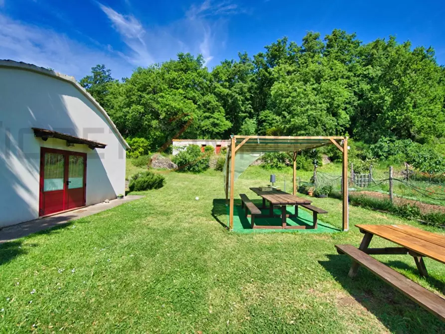 Immagine 6 di Casa colonica in vendita  a Massa Marittima