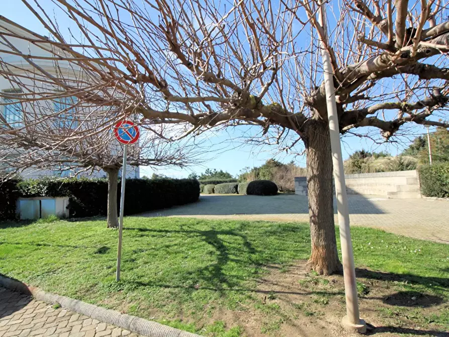 Immagine 12 di Appartamento in vendita  a Pisa