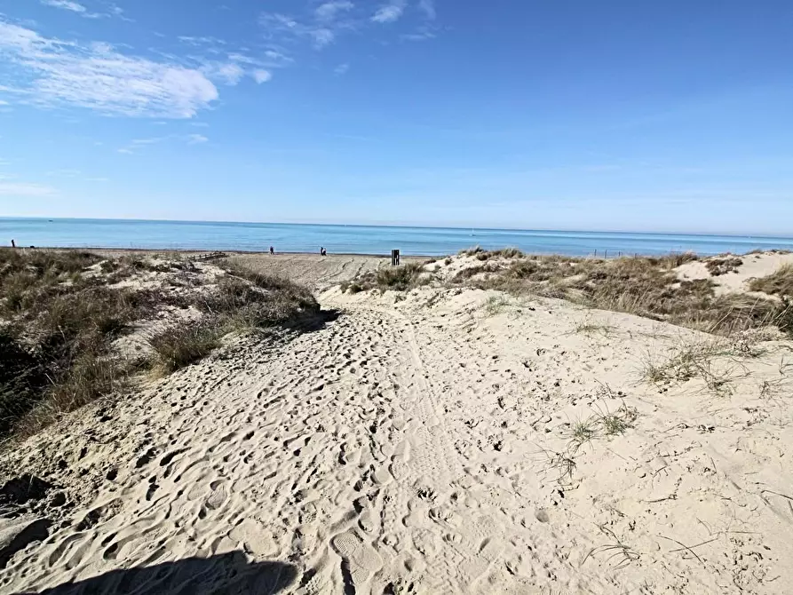 Immagine 2 di Appartamento in vendita  a Pisa