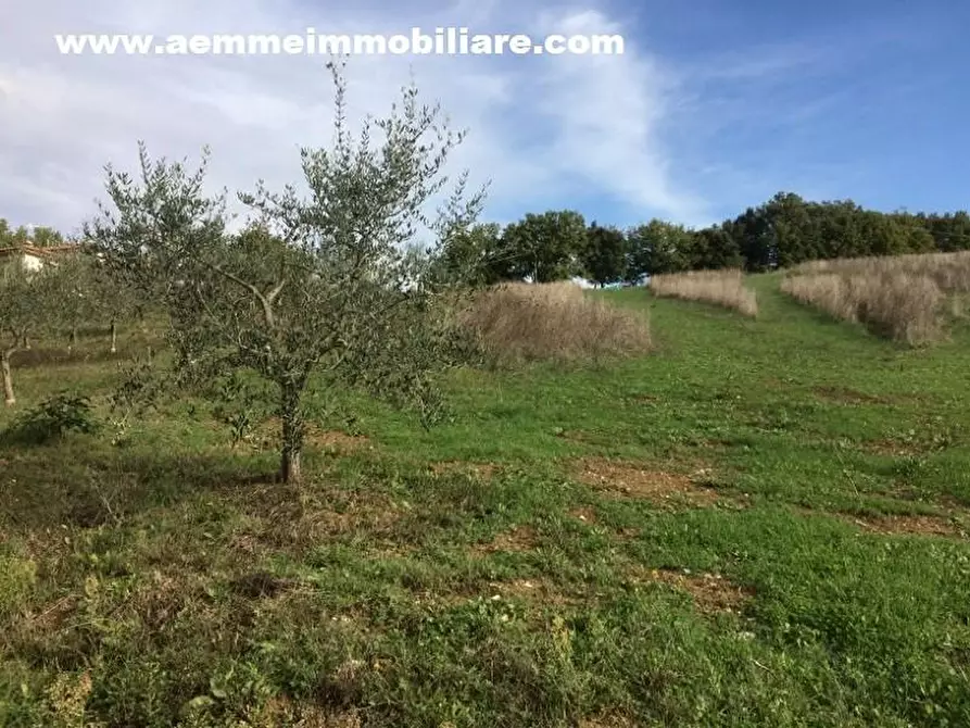 Immagine 5 di Terreno residenziale in vendita  a Casole D'elsa
