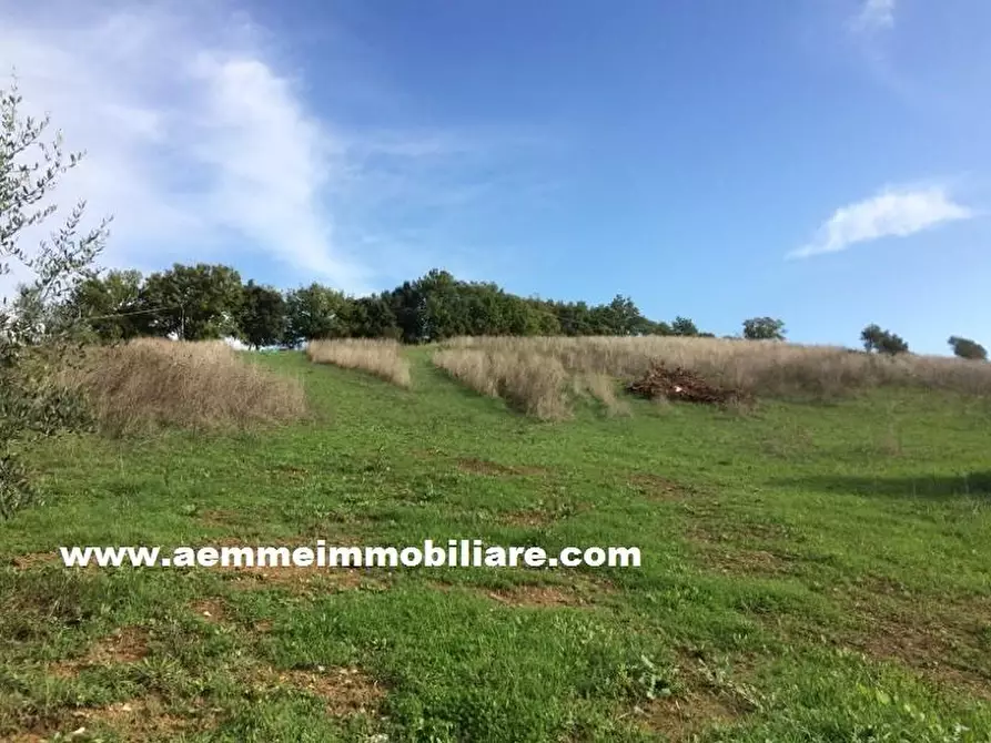 Immagine 4 di Terreno residenziale in vendita  a Casole D'elsa
