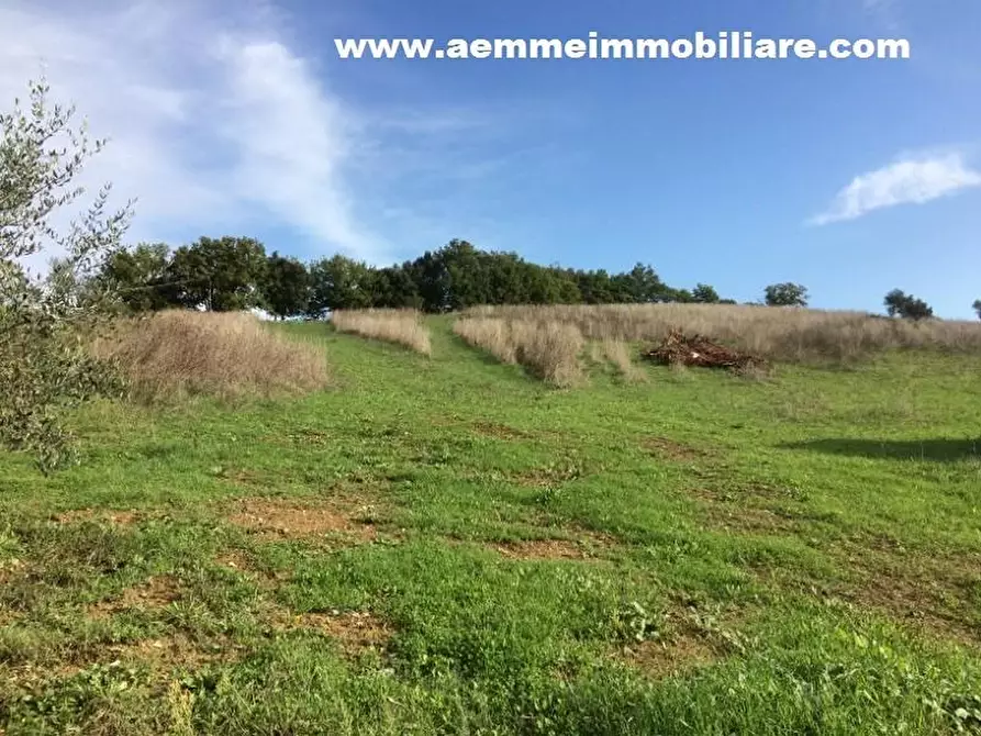 Immagine 6 di Terreno residenziale in vendita  a Casole D'elsa