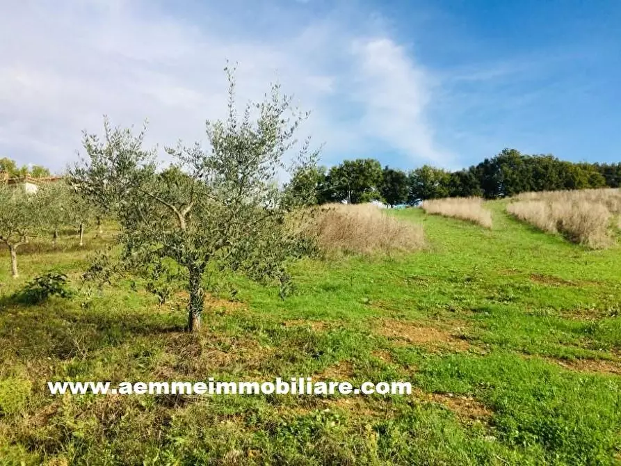 Immagine 7 di Terreno residenziale in vendita  a Casole D'elsa