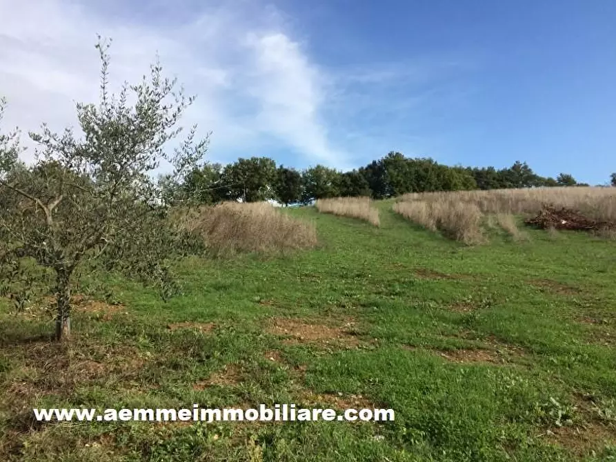 Immagine 1 di Terreno residenziale in vendita  a Casole D'elsa