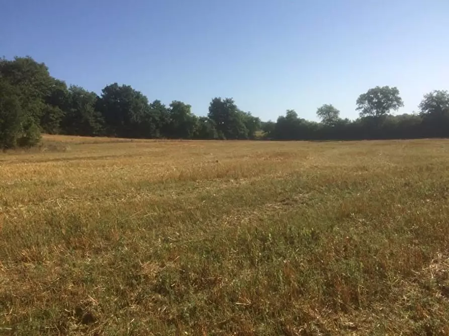 Immagine 1 di Terreno agricolo in vendita  a Colle Di Val D'elsa