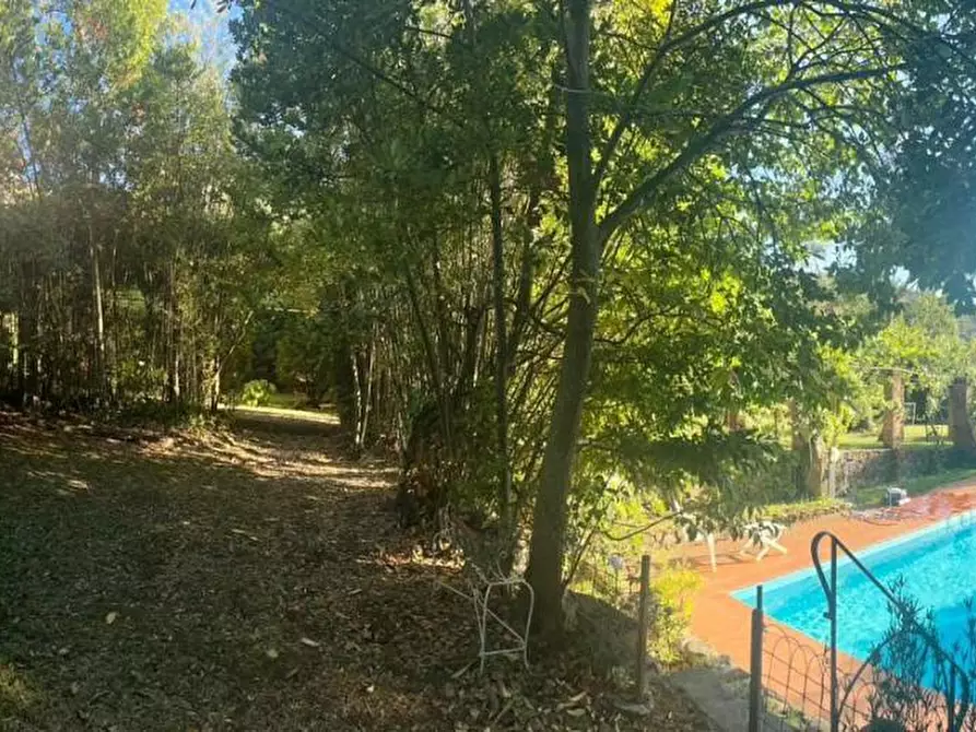 Immagine 9 di Villa in vendita  a Calci