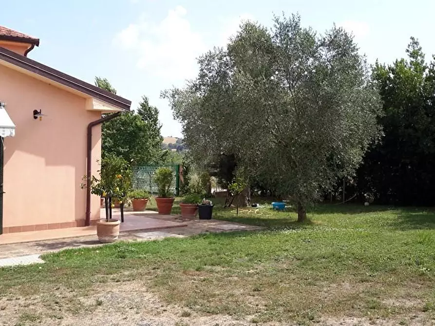 Immagine 14 di Casa colonica in vendita  a Grosseto