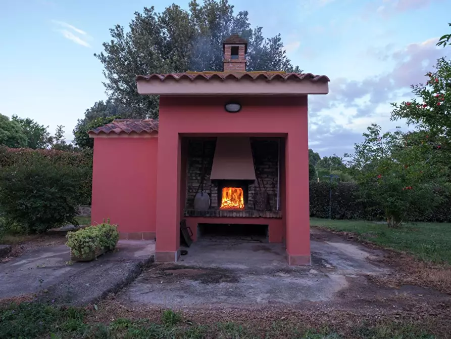 Immagine 17 di Casa colonica in vendita  a Grosseto