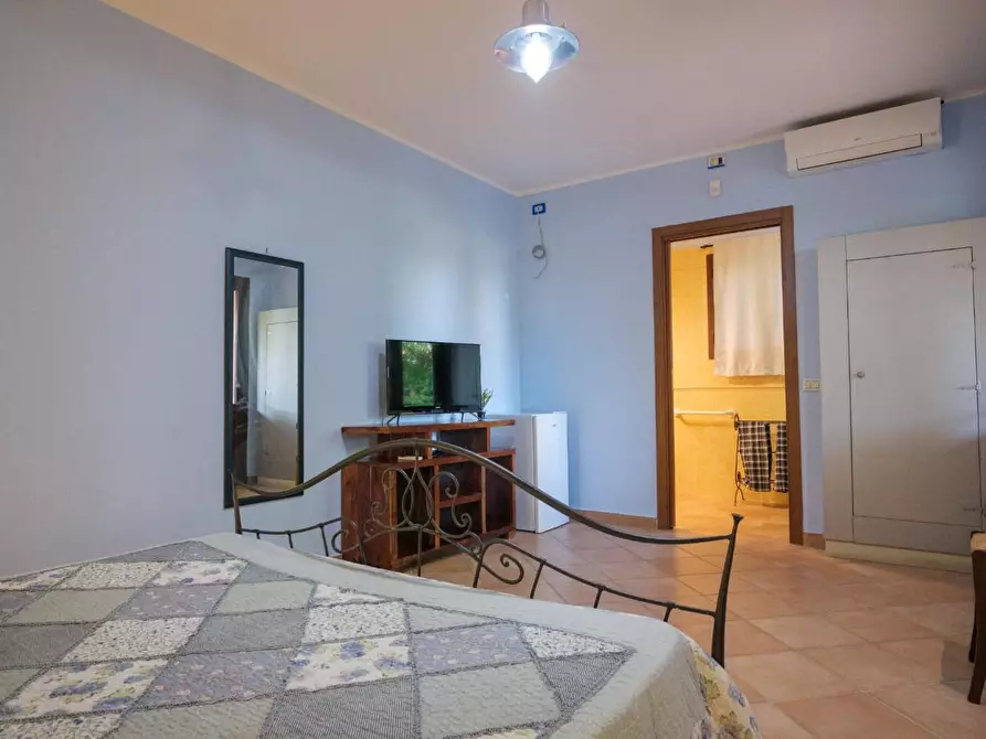 Immagine 24 di Casa colonica in vendita  a Grosseto