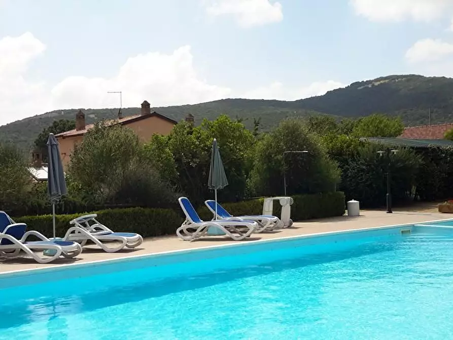 Immagine 4 di Casa colonica in vendita  a Grosseto