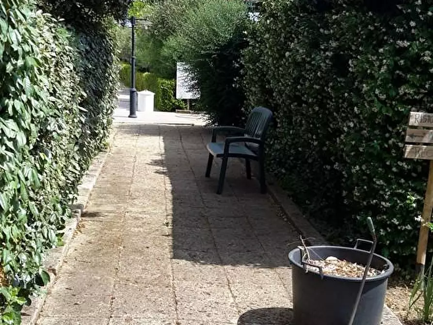 Immagine 25 di Casa colonica in vendita  a Grosseto