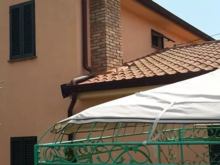 Immagine 12 di Casa colonica in vendita  a Grosseto