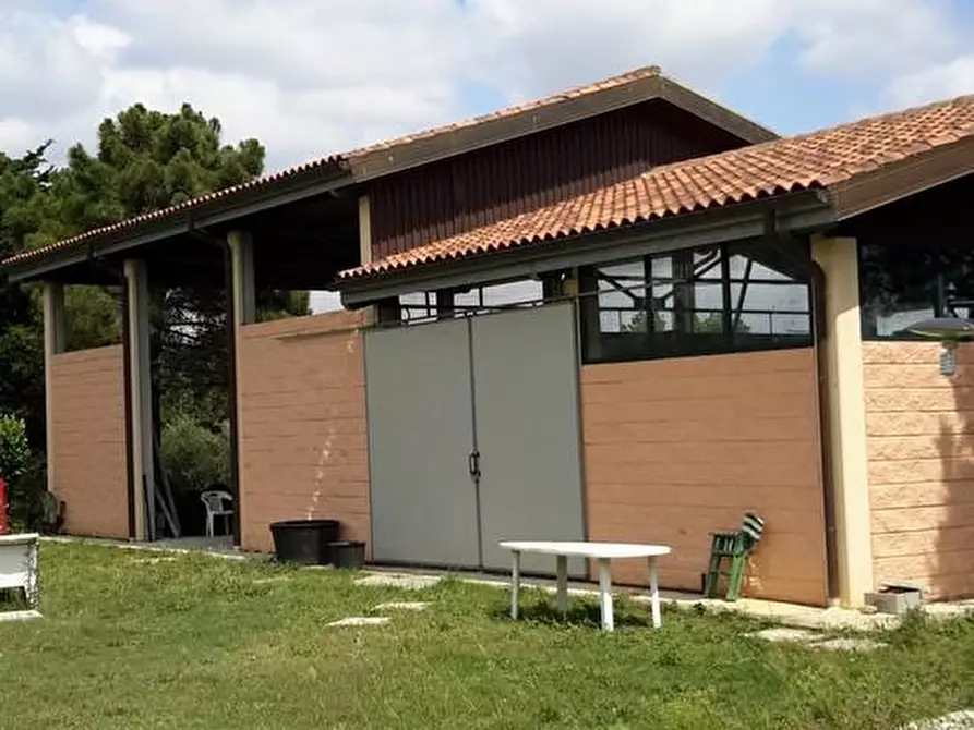 Immagine 40 di Casa colonica in vendita  a Grosseto