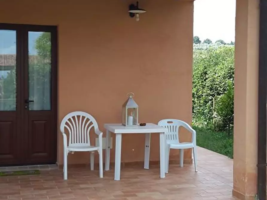 Immagine 13 di Casa colonica in vendita  a Grosseto