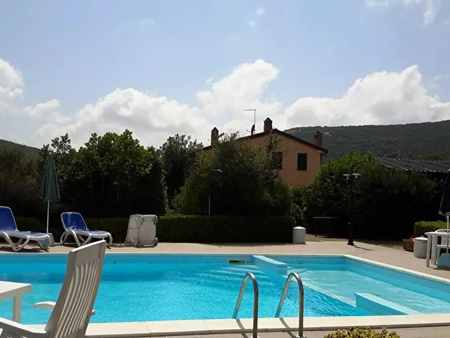 Immagine 5 di Casa colonica in vendita  a Grosseto