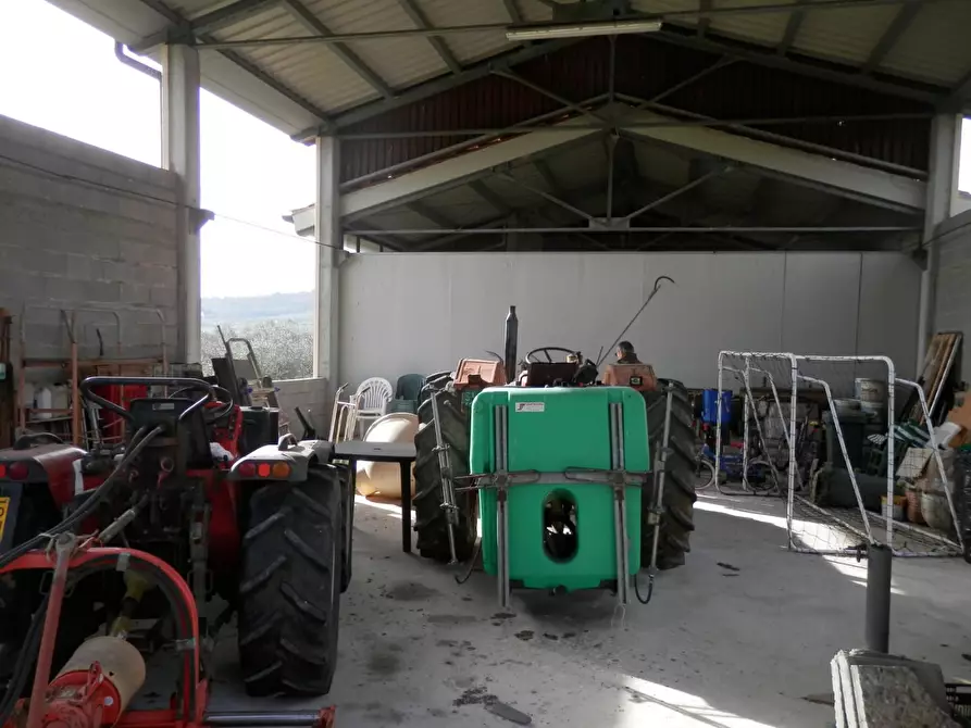 Immagine 41 di Casa colonica in vendita  a Grosseto