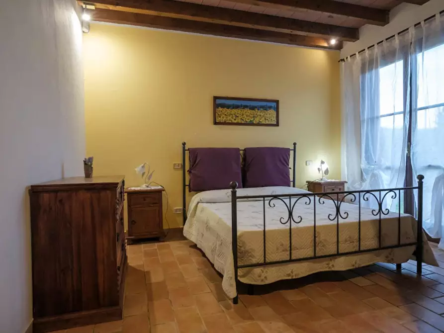 Immagine 22 di Casa colonica in vendita  a Grosseto