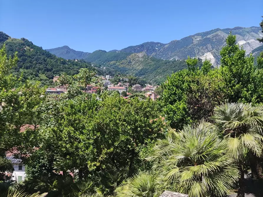 Immagine 2 di Villa in vendita  a Carrara