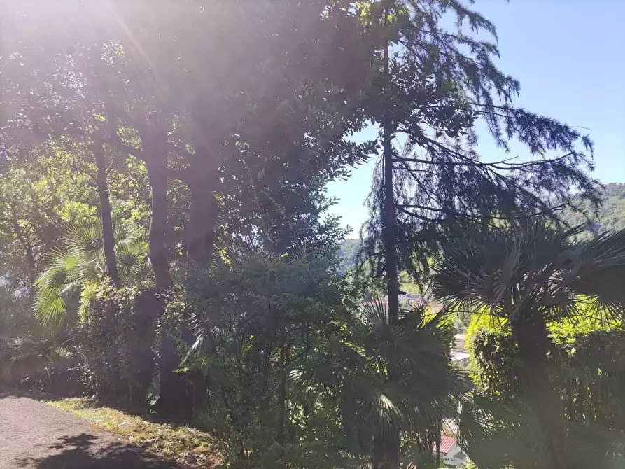 Immagine 16 di Villa in vendita  a Carrara