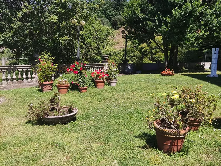 Immagine 5 di Villa in vendita  a Carrara