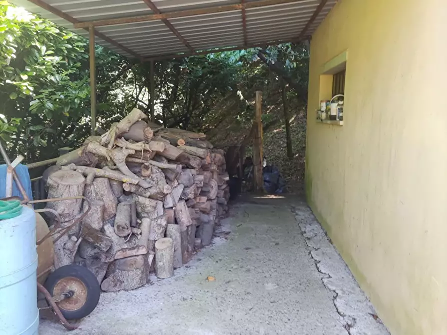 Immagine 19 di Villa in vendita  a Carrara