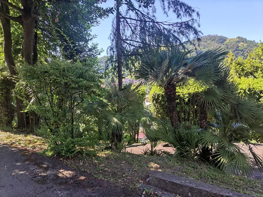 Immagine 17 di Villa in vendita  a Carrara